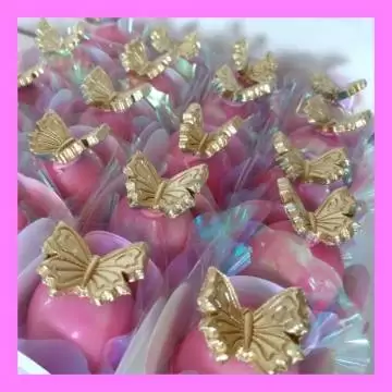 PM657 BORBOLETA LILI