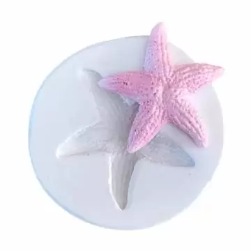 Molde de Silicone Estrela...