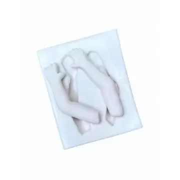 Molde de Silicone...