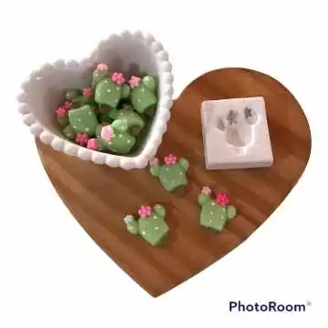 Molde de Silicone Cacto com...