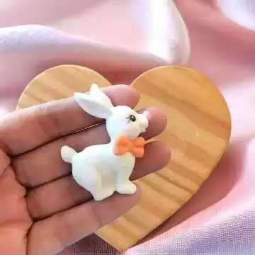 Molde de Silicone Coelho...