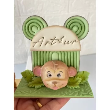 Molde de Silicone...