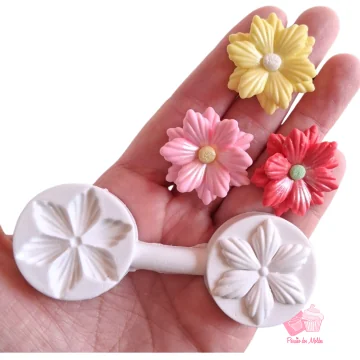 Molde de Silicone...