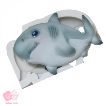 Molde de Silicone Fundo do...