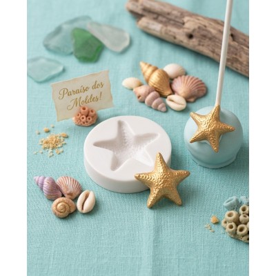 Molde Silicone Estrela Do Mar Gordinha -29 3