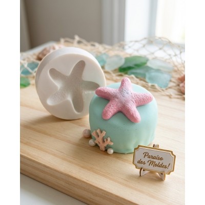 Molde de Silicone Estrela Fofa - 1348